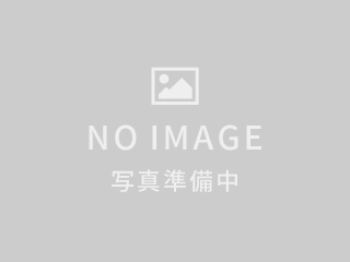 É|s䏊1600̃}V̉摜